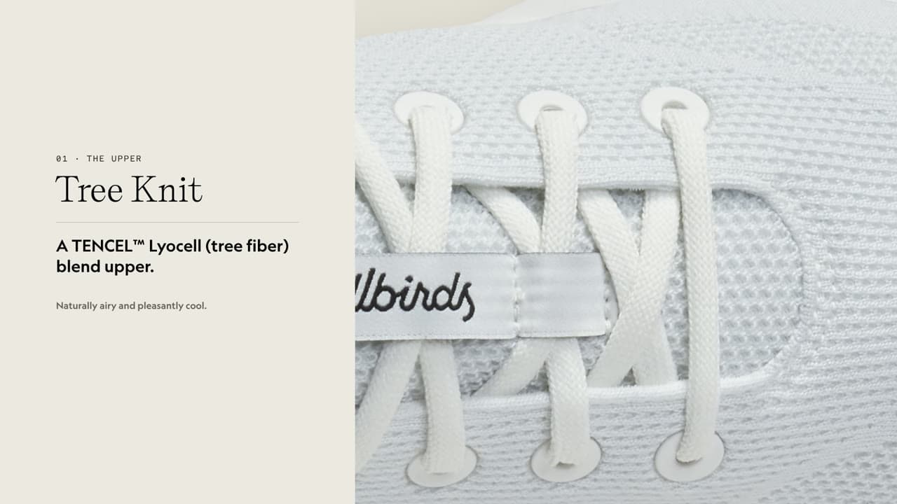 Allbirds Men's Tree Runner Go — Blizzard