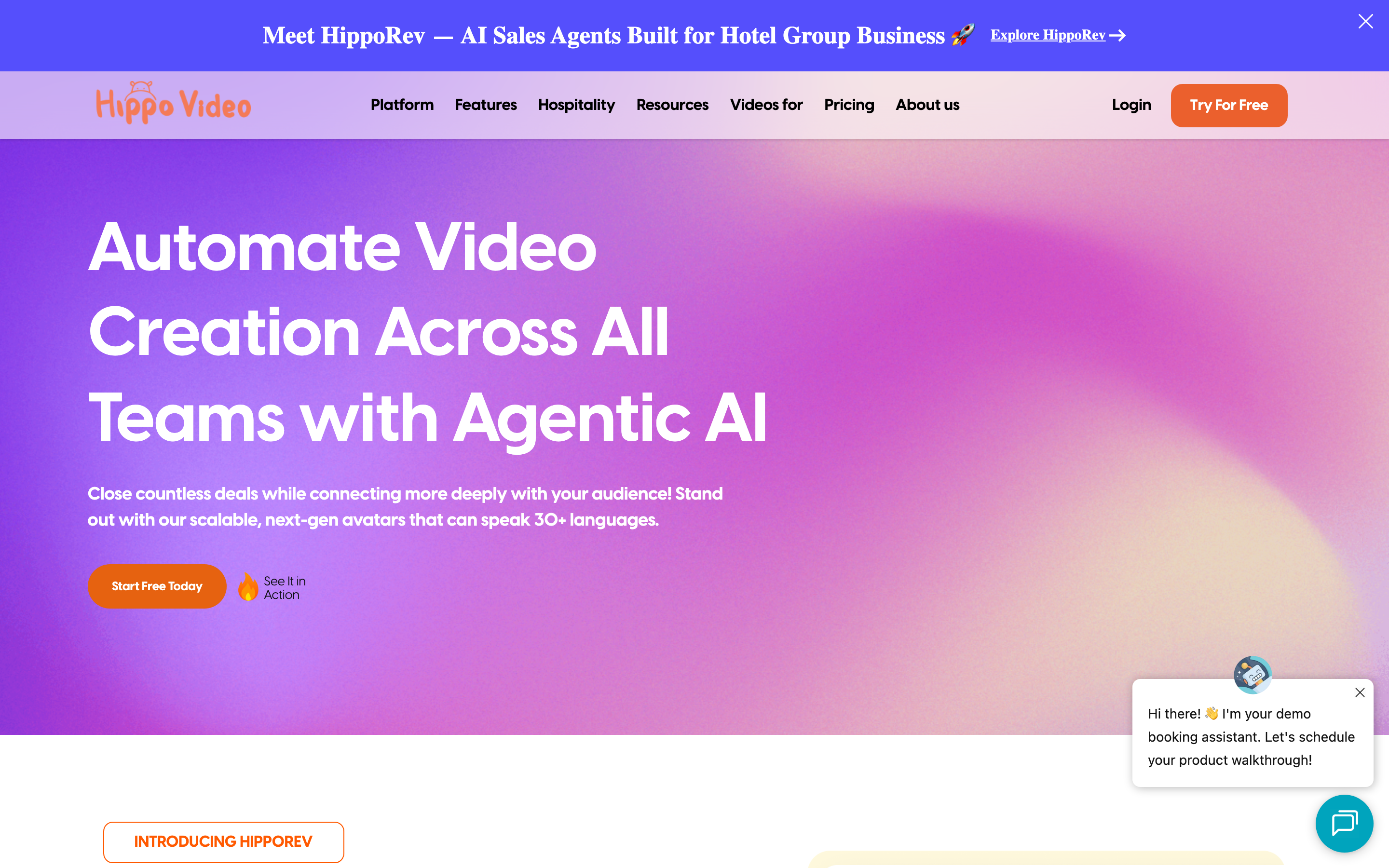 Hippo Video Agentic AI homepage screenshot