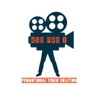 KSD PRO 1 logo