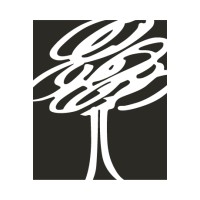 Lifetime Media logo