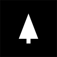 Lone Spruce Creative logo