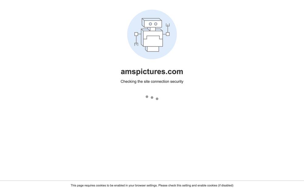 AMS Pictures website preview