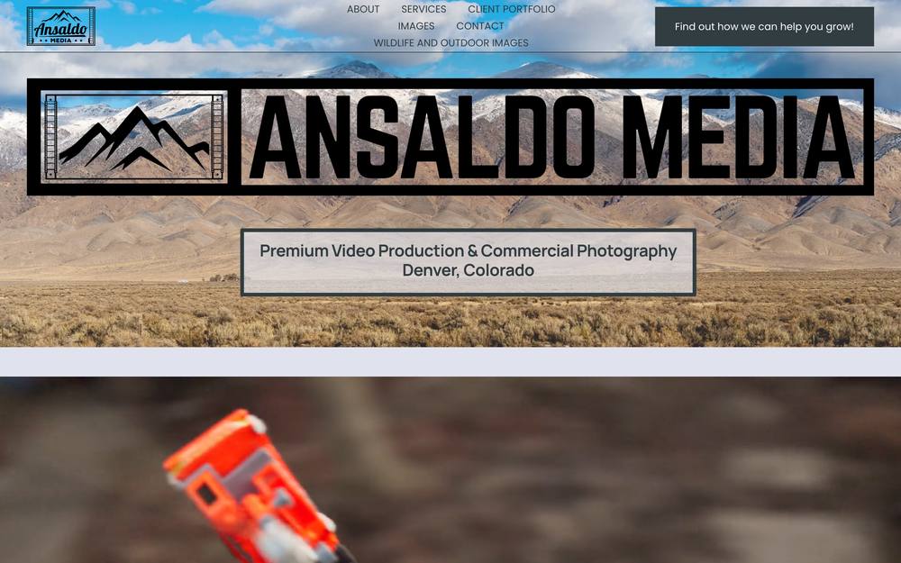 Ansaldo Media LLC website preview