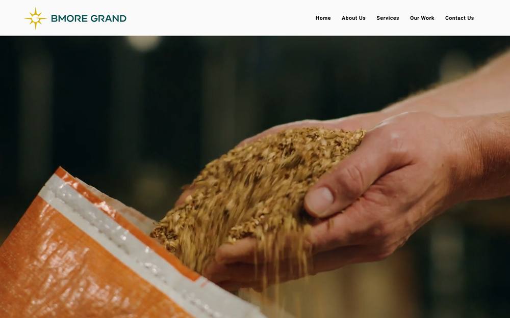 Bmore Grand website preview