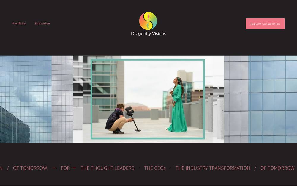 Dragonfly Visions website preview