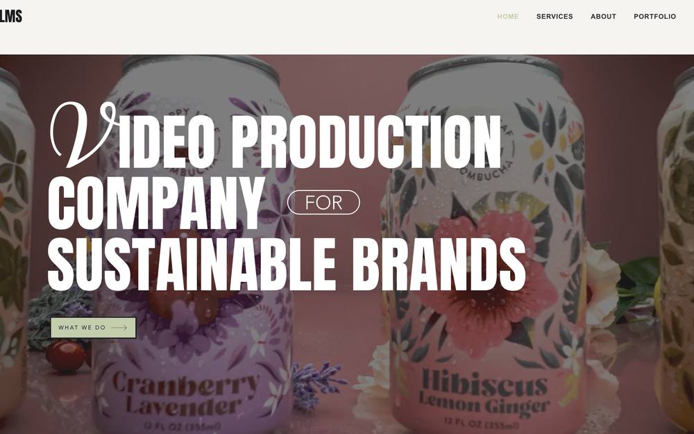 Runa Films website preview