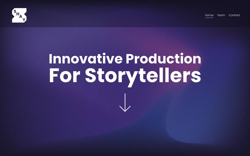Shay Media Group website preview