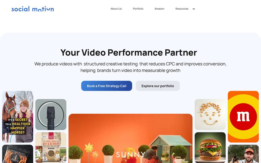 Social Motion website preview