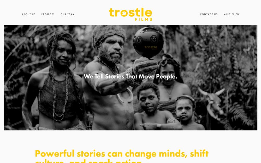 Trostle Films website preview