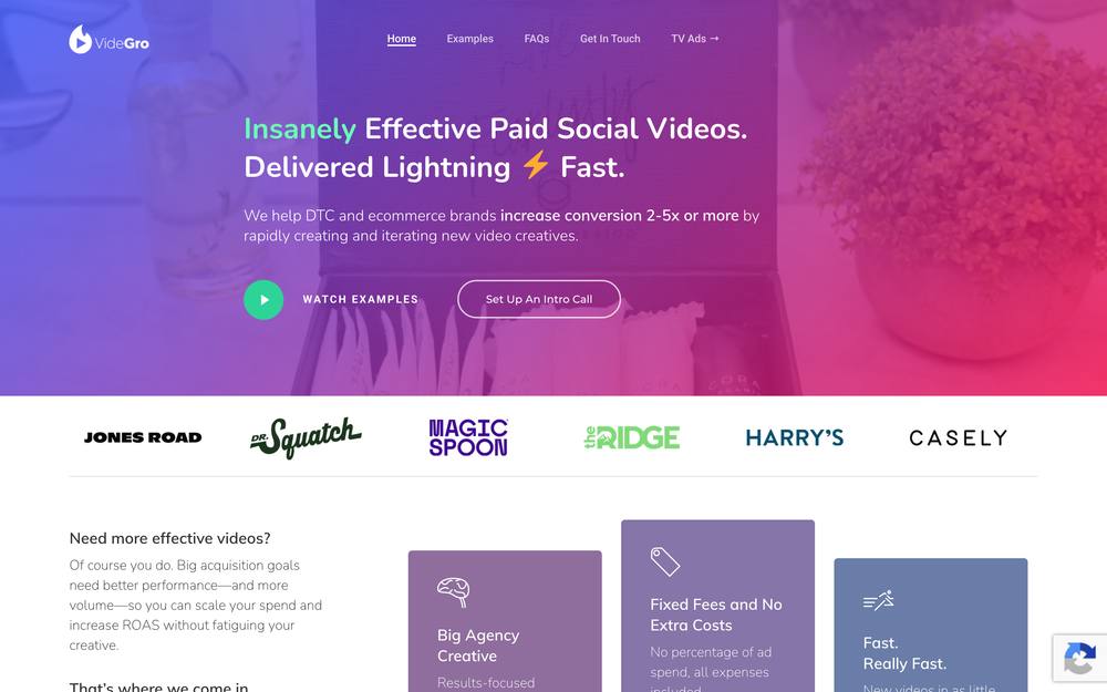 VideGro website preview