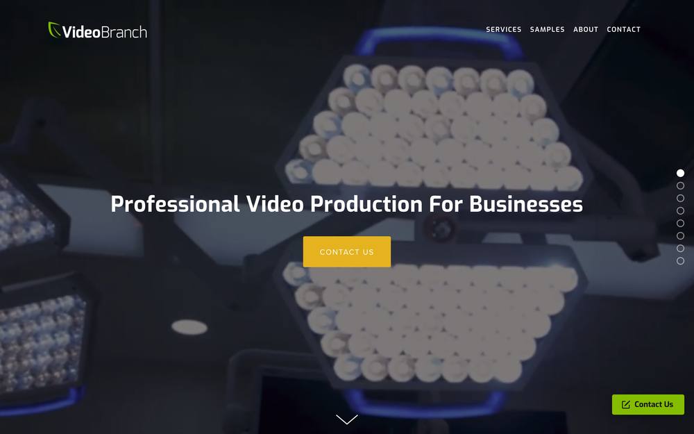VideoBranch website preview