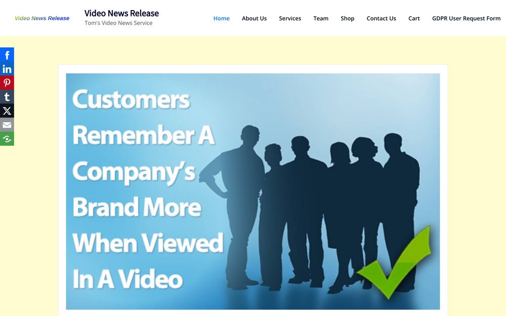 Videos For You website preview