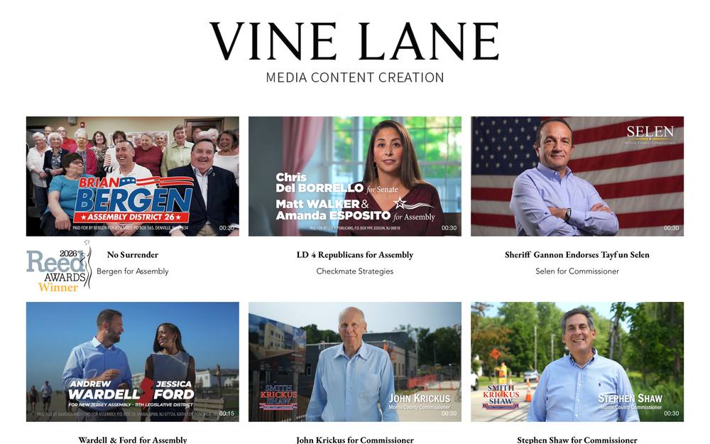 Vine Lane, LLC website preview