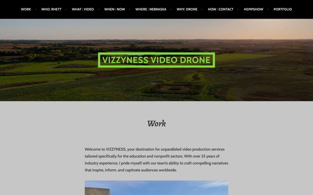 VIZZYNESS website preview