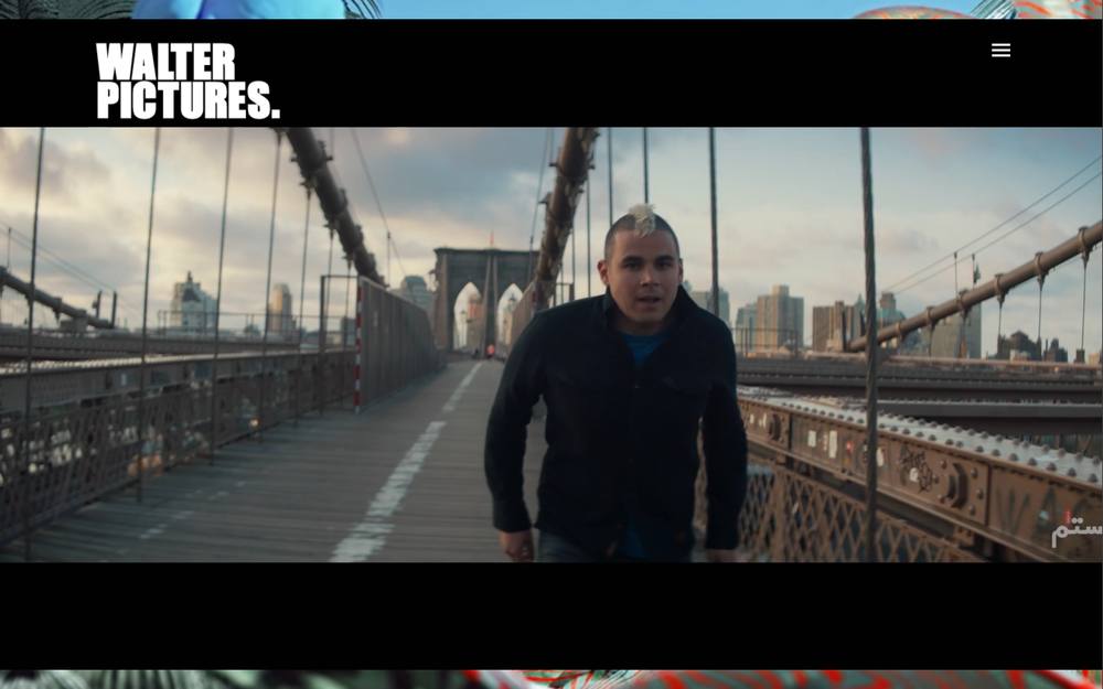 Walter Pictures website preview