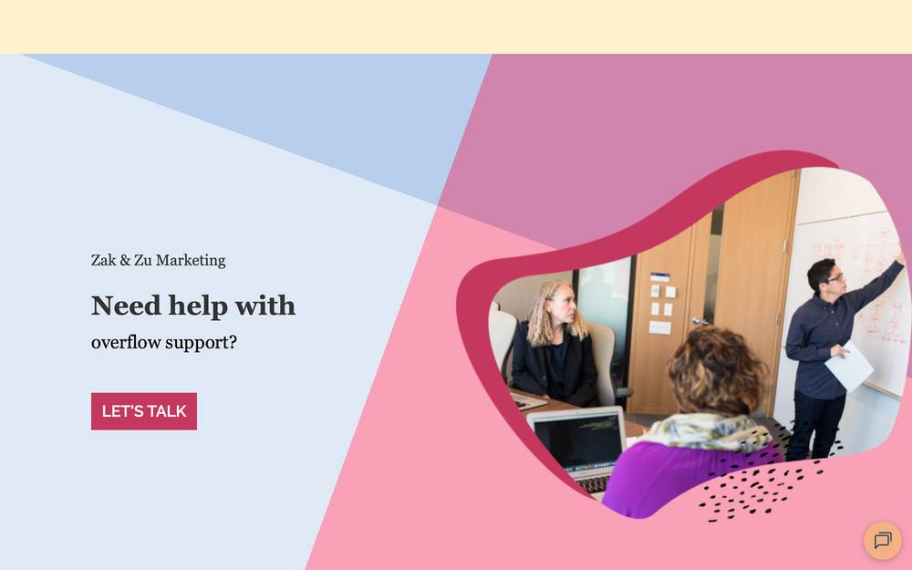 Zak & Zu Marketing website preview