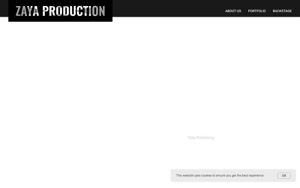 ZAYA PRODUCTION website preview
