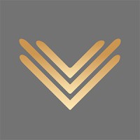 Vivineer LLC Corporate Video Production logo